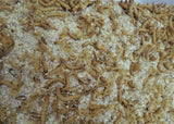 Mealworms enjoying Reptanicals Feeder Feast Gut load for insects