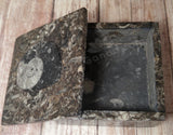 Ammonite Keepsake Box - Medium - Square