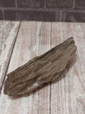 Petrified Wood fossil GGandJ.com