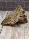 Fossilized wood for sale Gypsy Gems & Jewelry Naturally Unique