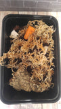 Bio-active kit with cuttlebone, moss, cork, soil, isopods and springtails