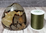 Natural Septarian Gemstone with Size Reference