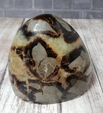 Gypsy Gems & Jewelry™ Naturally Unique™ Septarian Freeform from Madagascar Yellow Brown Gray Gemstone Mineral Dragon Stone