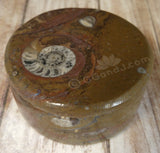 Ammonite Keepsake box Gypsy Gems & Jewelry™ Sm Circle Box B