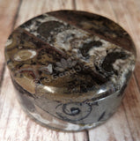 Small round fossil box from Morocco Orthoceras Ammonite Handcarved